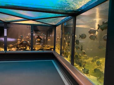 株式会社Gに投稿された画像（2021/2/10）