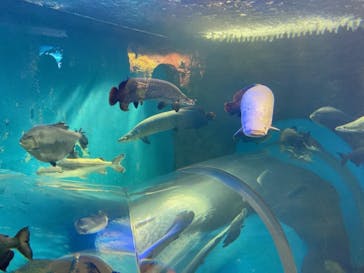 株式会社Gに投稿された画像（2021/2/10）