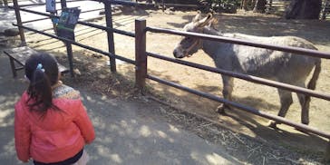 伊豆シャボテン動物公園に投稿された画像（2021/2/10）