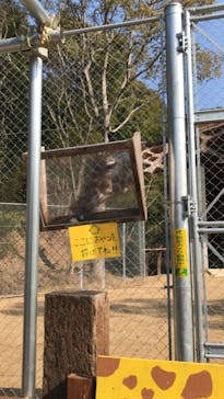 しろとり動物園に投稿された画像（2021/2/11）