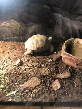 天王寺動物園に投稿された画像（2021/2/11）
