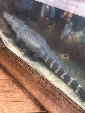 天王寺動物園に投稿された画像（2021/2/11）