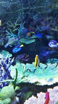 サンシャイン水族館に投稿された画像（2021/2/11）