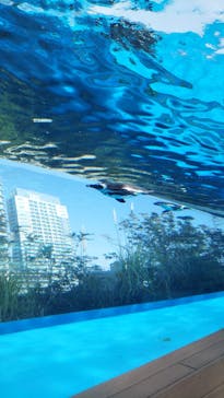 サンシャイン水族館に投稿された画像（2021/2/11）