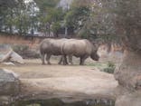 天王寺動物園に投稿された画像（2021/2/11）