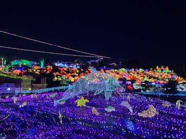 伊豆ぐらんぱる公園に投稿された画像（2021/2/11）