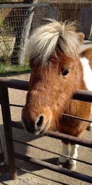 しろとり動物園に投稿された画像（2021/2/11）