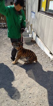 しろとり動物園に投稿された画像（2021/2/11）