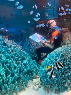 サンシャイン水族館に投稿された画像（2021/2/11）