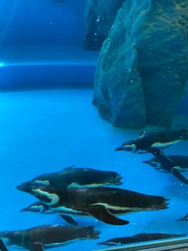 株式会社Gに投稿された画像（2021/2/11）