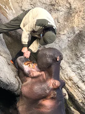 天王寺動物園に投稿された画像（2021/2/11）