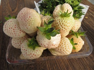 井上寅雄農園に投稿された画像（2021/2/11）