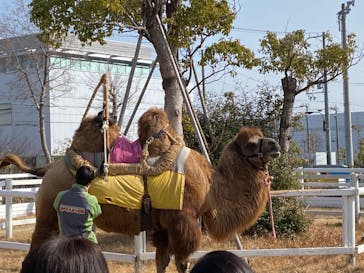 神戸どうぶつ王国に投稿された画像（2021/2/11）