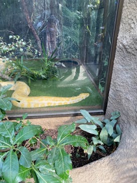 神戸どうぶつ王国に投稿された画像（2021/2/11）