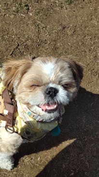 わんダフルネイチャーヴィレッジに投稿された画像（2021/2/11）