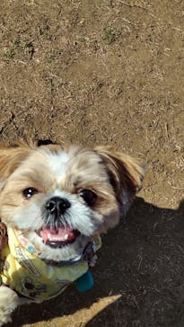 わんダフルネイチャーヴィレッジに投稿された画像（2021/2/11）