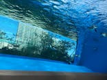サンシャイン水族館に投稿された画像（2021/2/11）