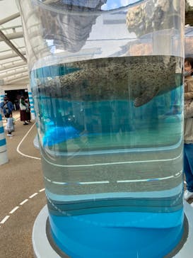 京都水族館に投稿された画像（2021/2/11）