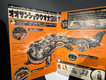 京都水族館に投稿された画像（2021/2/11）