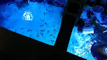 サンシャイン水族館に投稿された画像（2021/2/11）