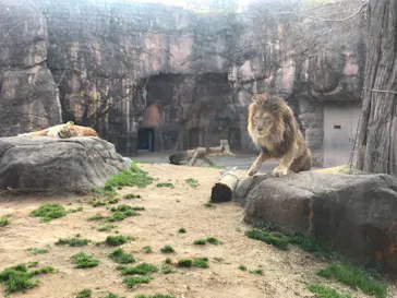天王寺動物園に投稿された画像（2021/2/11）