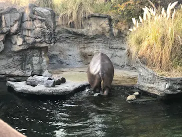 天王寺動物園に投稿された画像（2021/2/11）