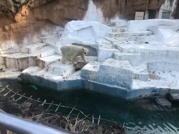 天王寺動物園に投稿された画像（2021/2/11）
