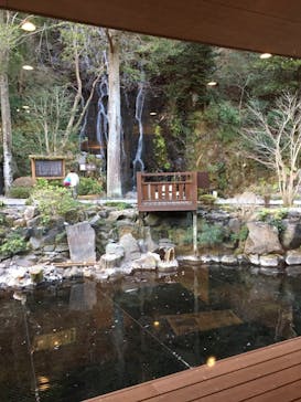 箱根湯本温泉 天成園に投稿された画像（2021/2/11）