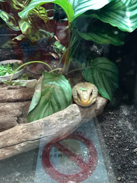 天王寺動物園に投稿された画像（2021/2/11）
