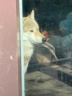 天王寺動物園に投稿された画像（2021/2/11）