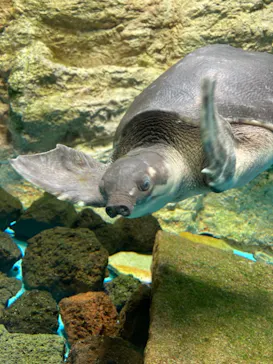 天王寺動物園に投稿された画像（2021/2/11）