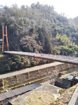 地底王国「美川ムーバレー」に投稿された画像（2021/2/11）