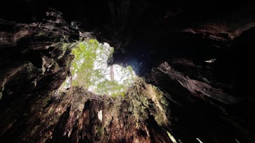 Yamakara屋久島に投稿された画像（2021/2/11）