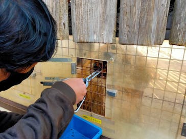 群馬サファリパークに投稿された画像（2021/2/11）