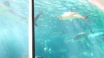 株式会社Gに投稿された画像（2021/2/11）