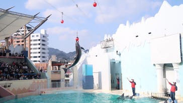 株式会社Gに投稿された画像（2021/2/11）