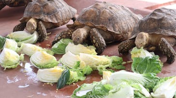 株式会社Gに投稿された画像（2021/2/11）