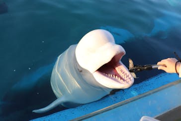 横浜・八景島シーパラダイスに投稿された画像（2021/2/11）