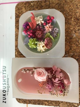 ずこうしつ〜sugamo〜に投稿された画像（2021/2/12）