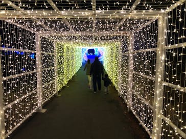 KYOTO ILLUMINATION SYNESTHESIA HILLS るり渓温泉に投稿された画像（2021/2/12）