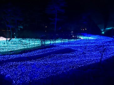 KYOTO ILLUMINATION SYNESTHESIA HILLS るり渓温泉に投稿された画像（2021/2/12）