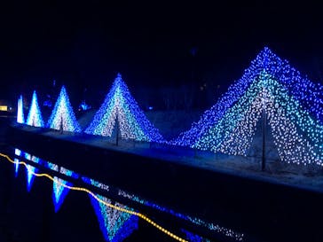 KYOTO ILLUMINATION SYNESTHESIA HILLS るり渓温泉に投稿された画像（2021/2/12）