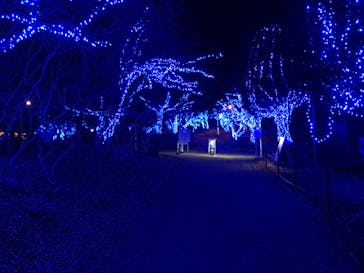 KYOTO ILLUMINATION SYNESTHESIA HILLS るり渓温泉に投稿された画像（2021/2/12）