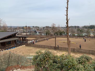 わんダフルネイチャーヴィレッジに投稿された画像（2021/2/12）