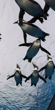 サンシャイン水族館に投稿された画像（2021/2/12）
