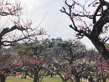 大阪城天守閣に投稿された画像（2021/2/12）