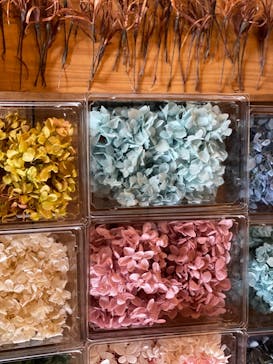 アトリエひわだやに投稿された画像（2021/2/12）