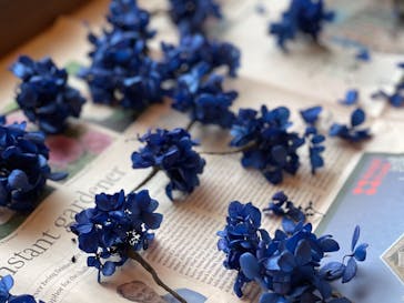 アトリエひわだやに投稿された画像（2021/2/12）