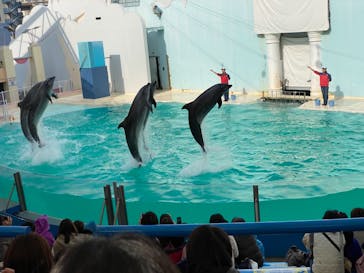 株式会社Gに投稿された画像（2021/2/12）