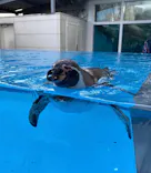 鳥羽水族館に投稿された画像（2021/2/13）